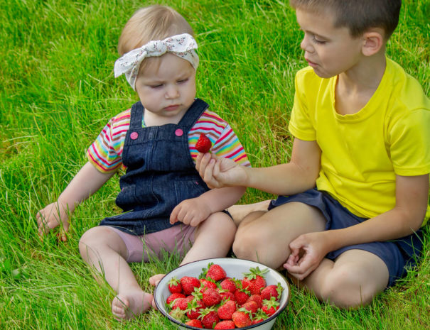 Children eating strawberries on a garden background. Selective focus.