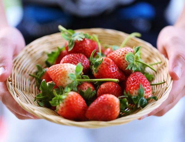 people-hand-holding-fresh-red-strawberry-in-basket-2024-12-07-12-44-16-utc